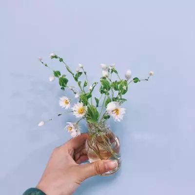 德拉克萨传奇游戏下载